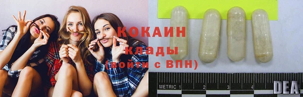 стаф Навашино