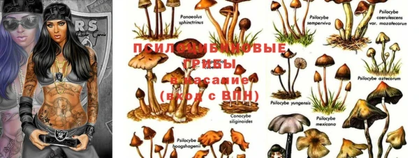 стаф Навашино